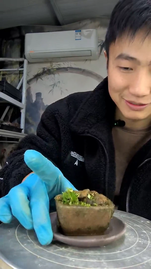 安*中青园艺一物一拍花153