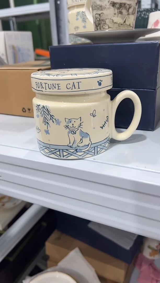 杯子骨瓷（原盒）盖杯一个