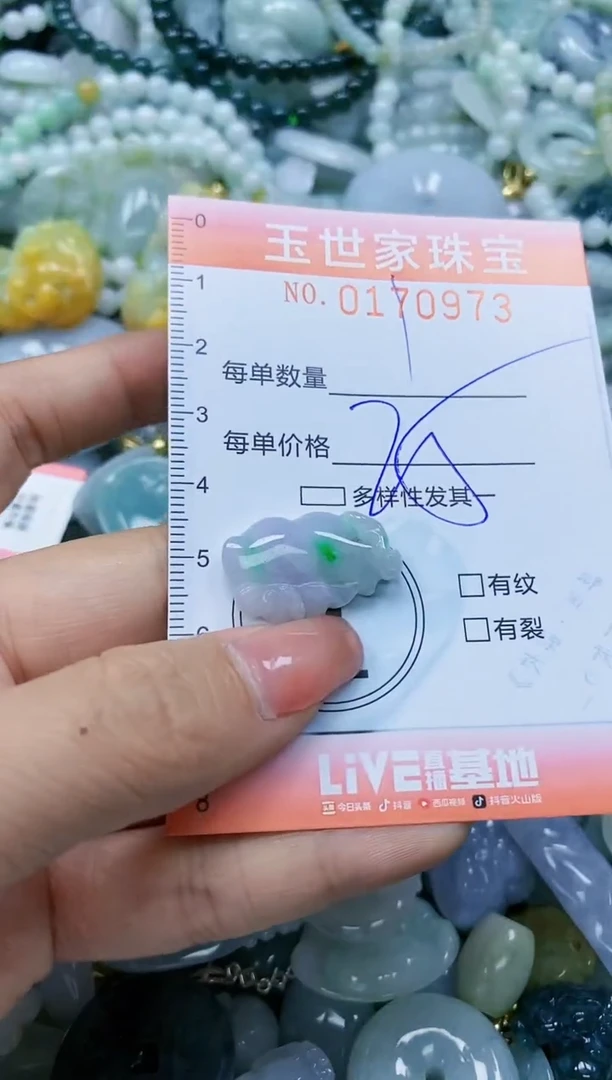 【闪购商品】翡翠颈饰未镶嵌闪购0170973