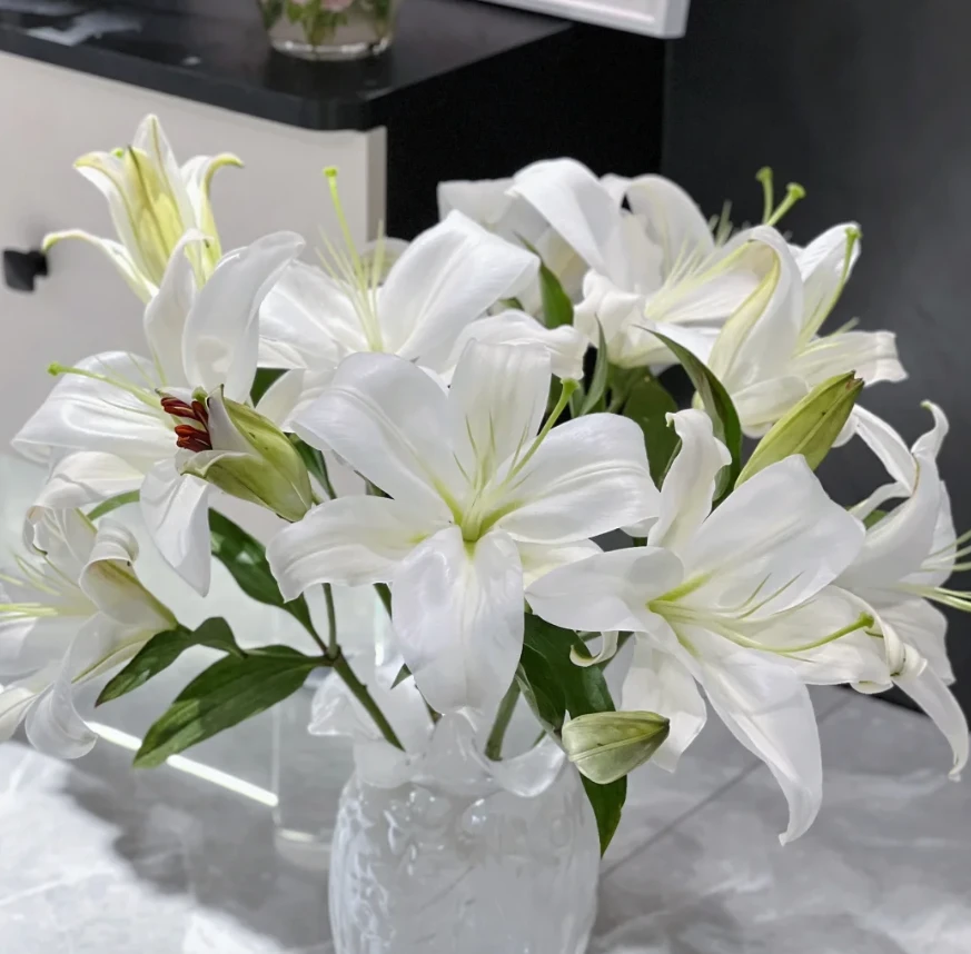 源头优选（白雪公主香水百合）大花型香味浓花期长云南基地直发