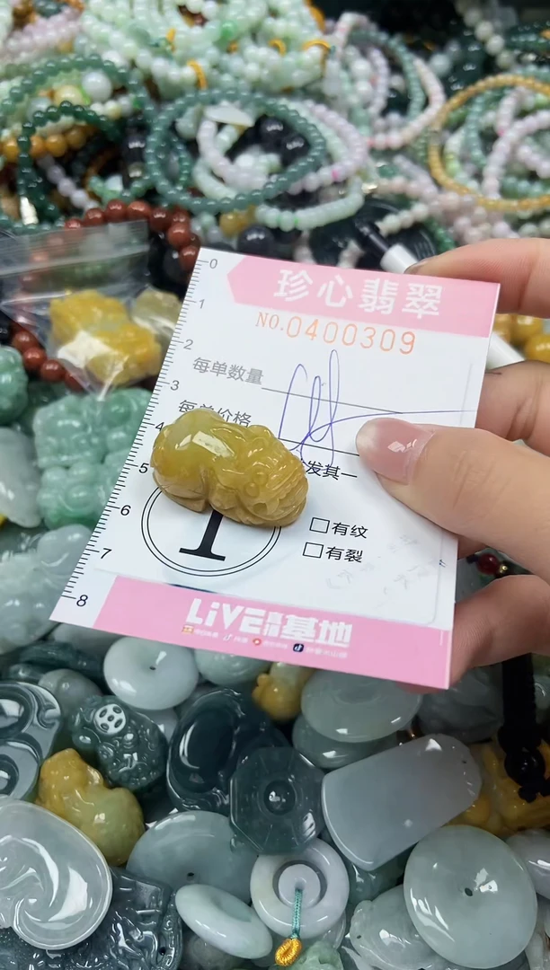 颈饰未镶嵌翡翠闪购0400309