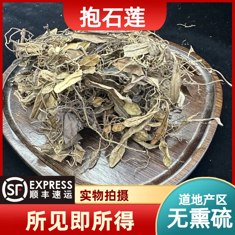 抱石莲成都中药材批发石瓜子 抱树莲飞连草 石仙桃 瓜子菜 瓜子金