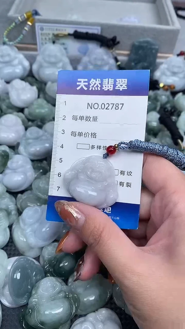 颈饰未镶嵌翡翠纯天然A货翡翠2787