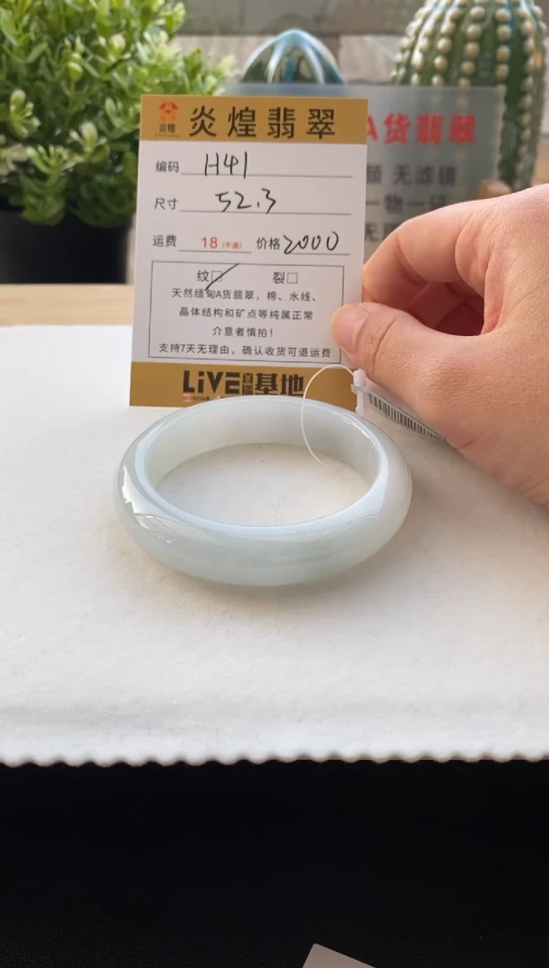 未镶嵌手镯翡翠52.3圈口 编码H41