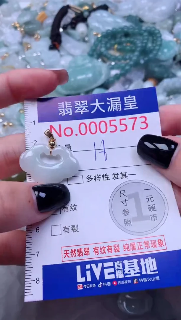 颈饰未镶嵌翡翠5573