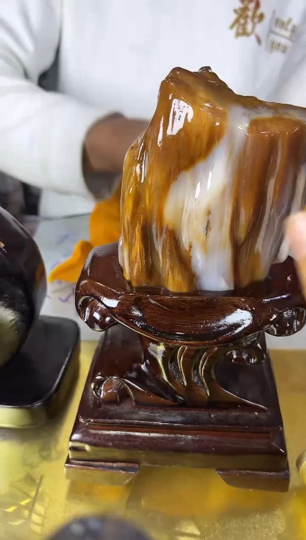 未镶嵌珠宝奇石硅化玉缅甸天然树化玉精品居家摆件