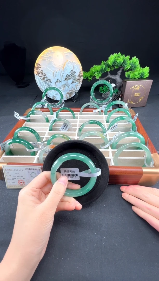 未镶嵌手镯石英质玉（非洲翠）真品上等纯天然非洲翠玉手镯石英质玉