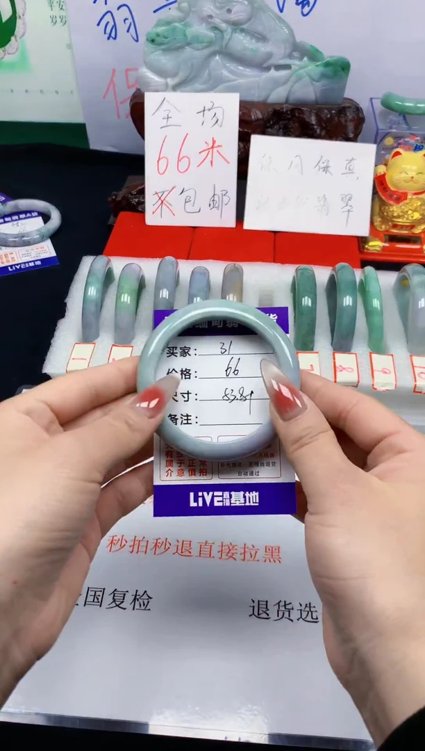 未镶嵌手镯翡翠31