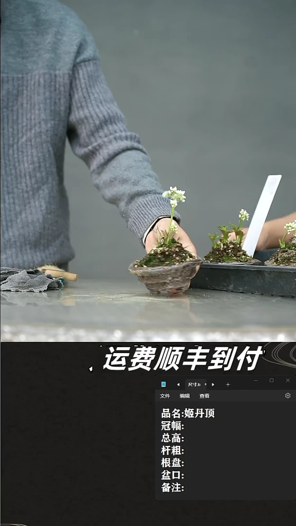 【闪购商品】78