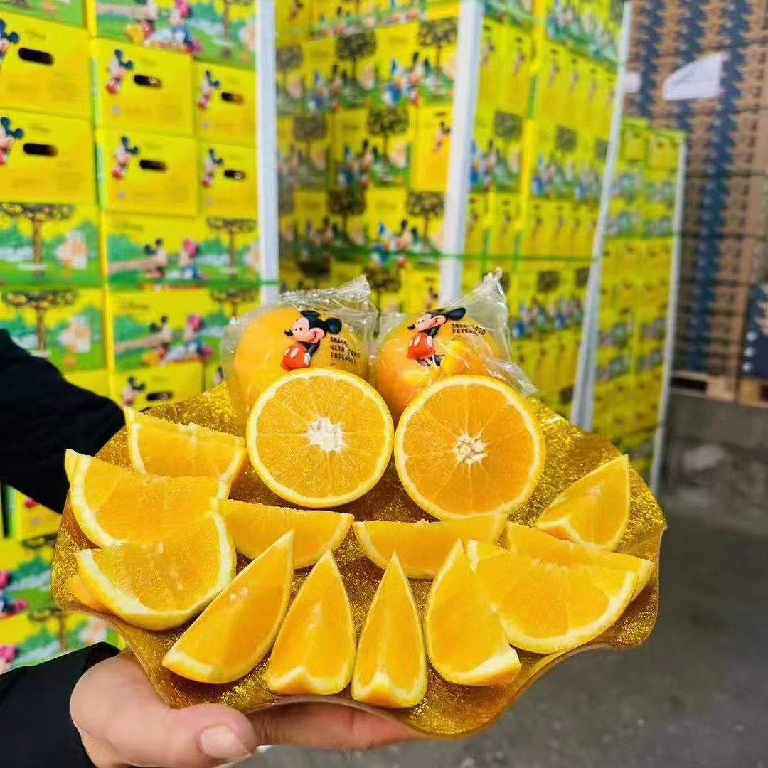 “迪士尼”好奇橙5斤装