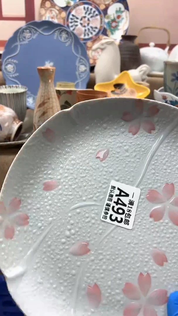 瓷片野*博林陶瓷493