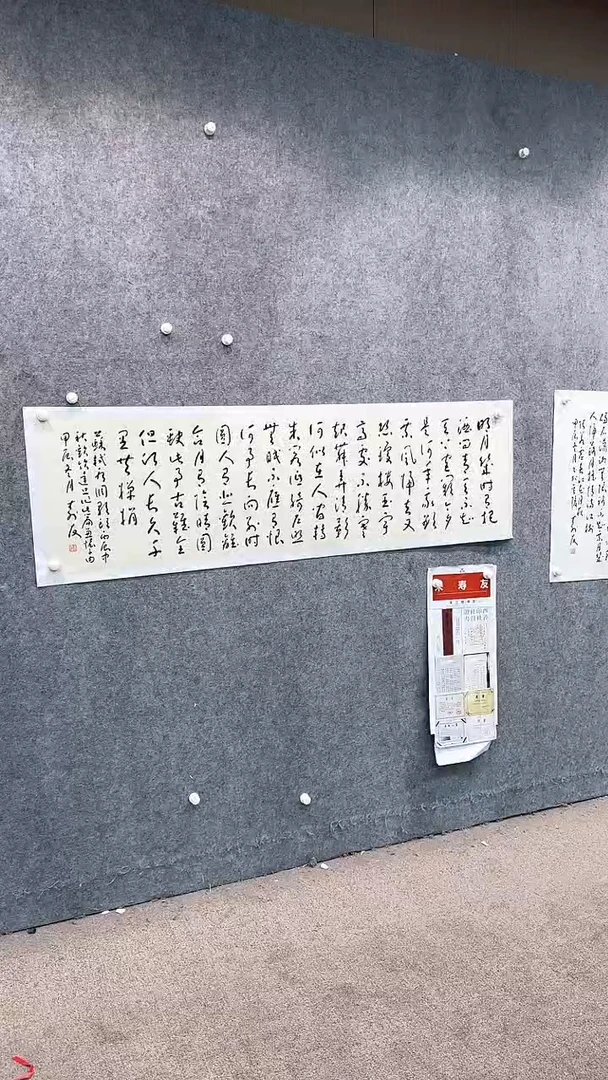 【闪购商品】书法pmw不二轩旗舰店书法ZSY26