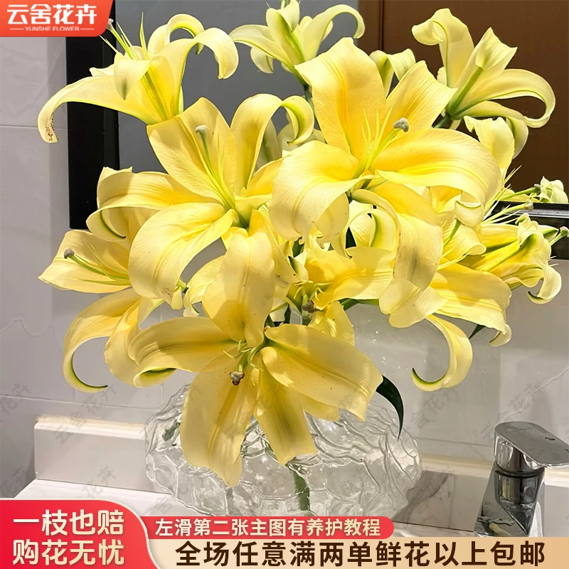 【云舍花卉】【皇帝】单瓣百合全场任意满两单及以上鲜花包邮直发