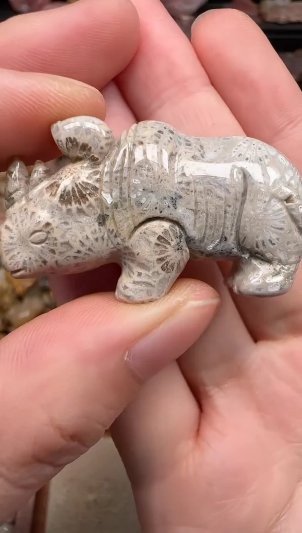 硅化珊瑚（珊瑚玉）未镶嵌颈饰050