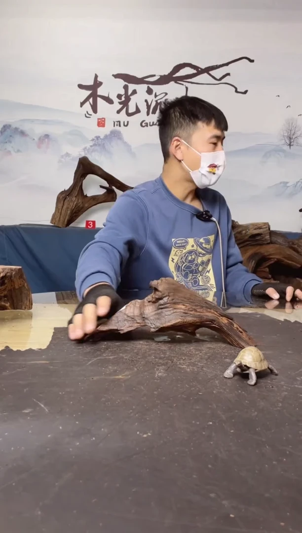 【闪购商品】A743木光沉木木光沉木