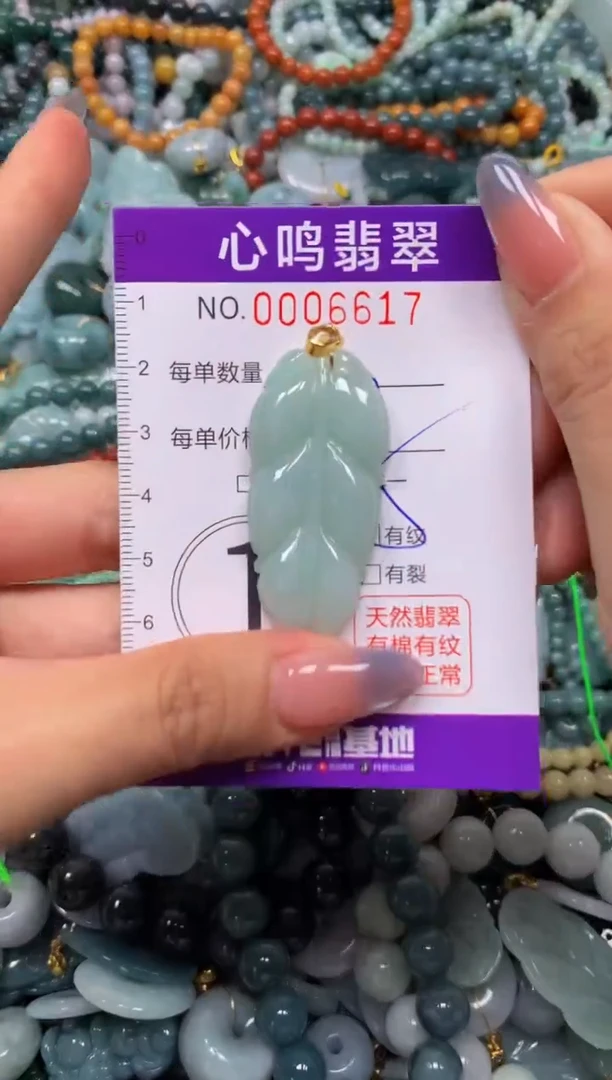 颈饰未镶嵌翡翠闪购006617