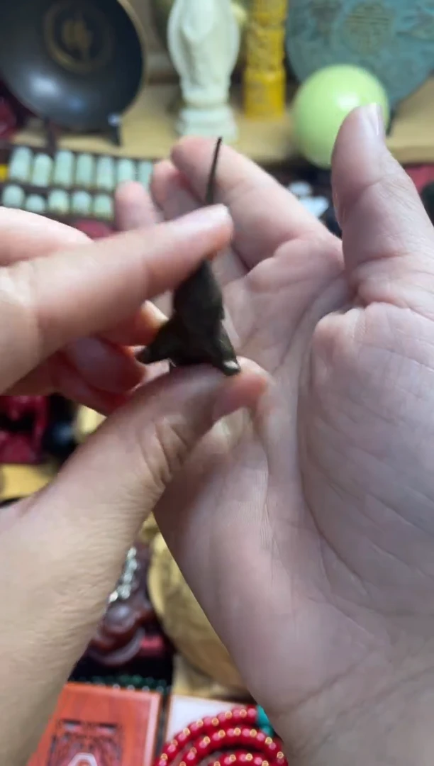 老鼠主播推荐主播推荐