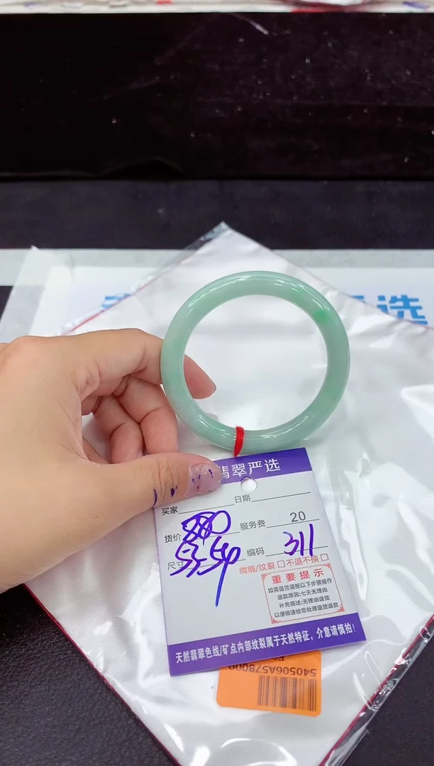 未镶嵌手镯翡翠1