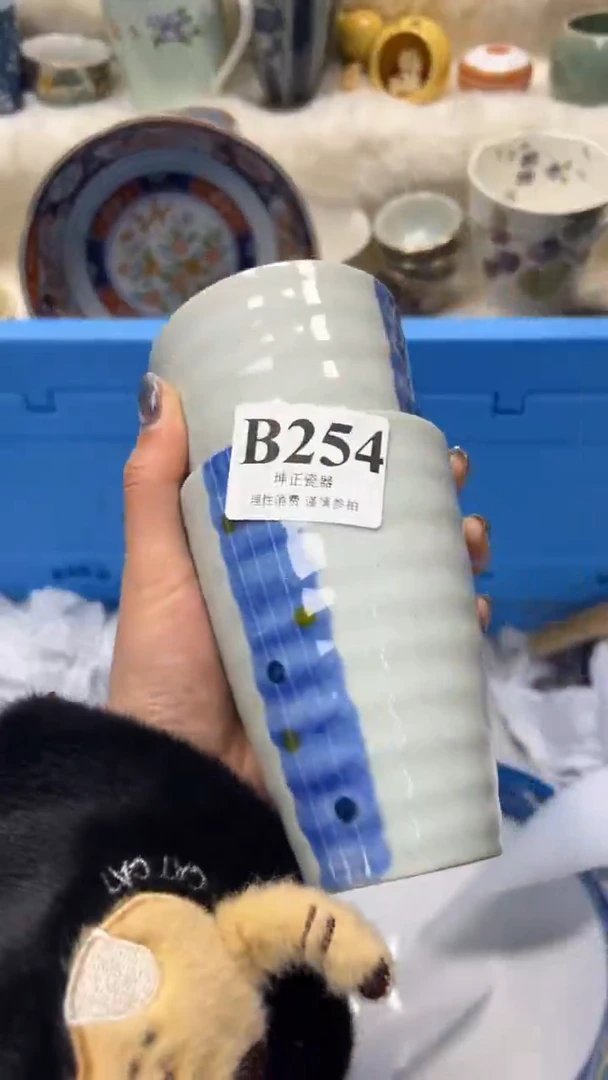 【闪购商品】瓷片          B254