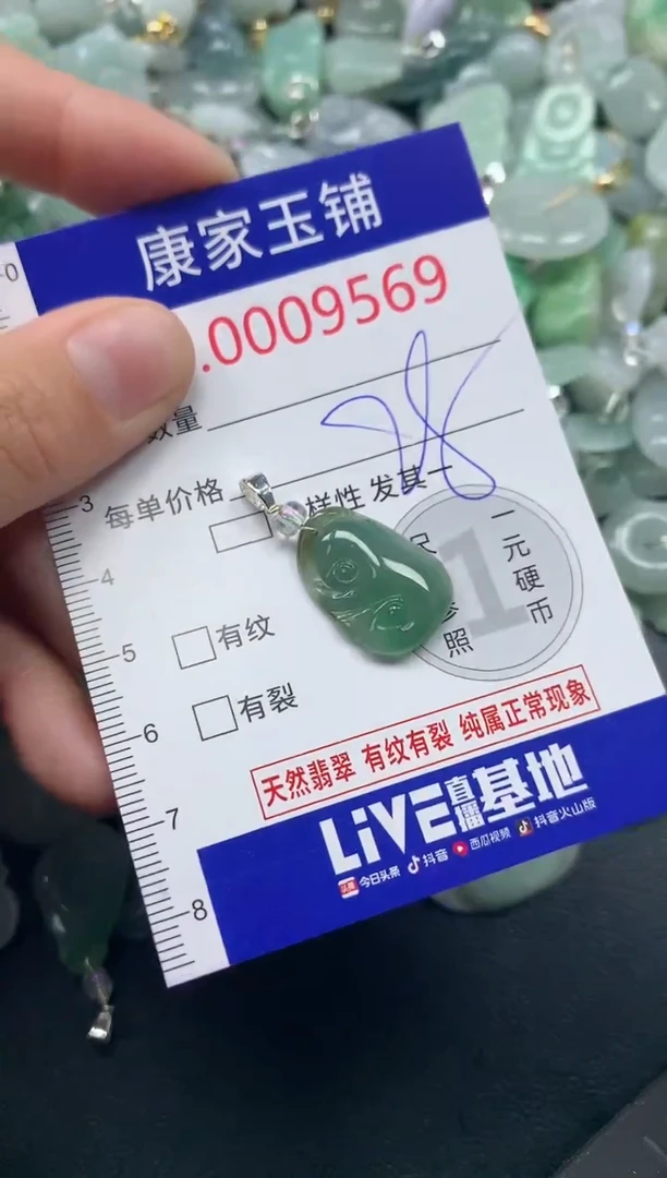 颈饰未镶嵌翡翠9569