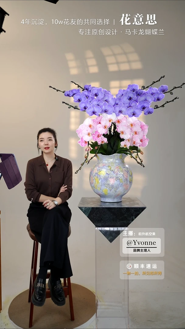 全部花朵060蝴蝶/一物一拍蝴蝶兰艺术盆景