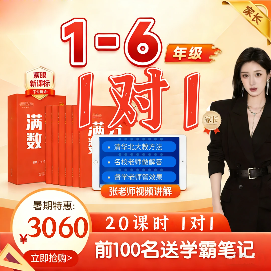 清北伴20课时解题思路拆解小学初中高中提分考试一对一技巧提升