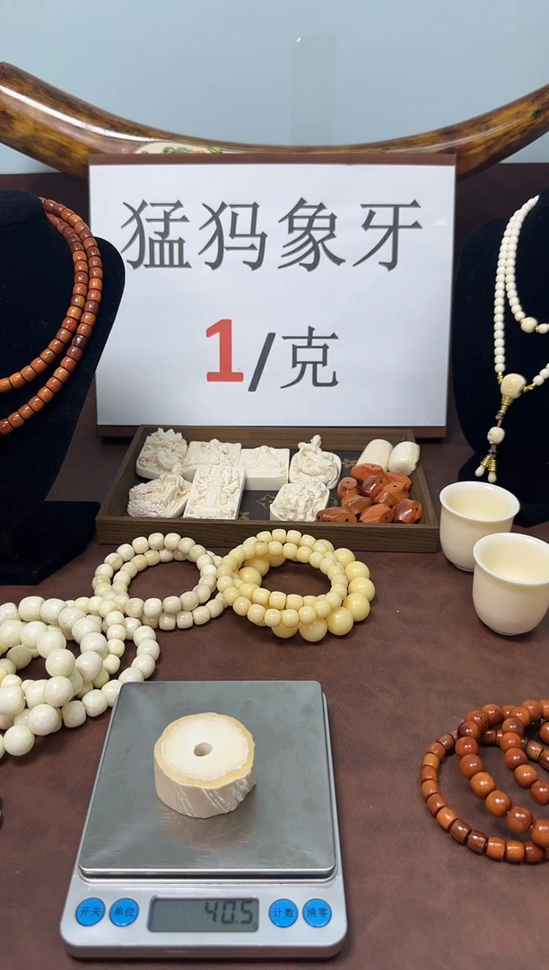 猛犸独独墩子*****10号
