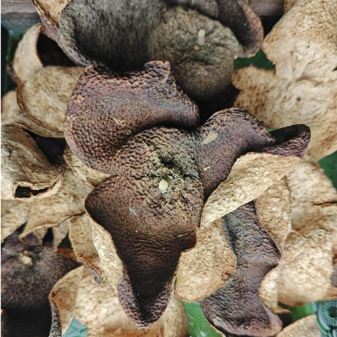 2018南坦大红7年 狗楠皮 陈甜 新会陈皮