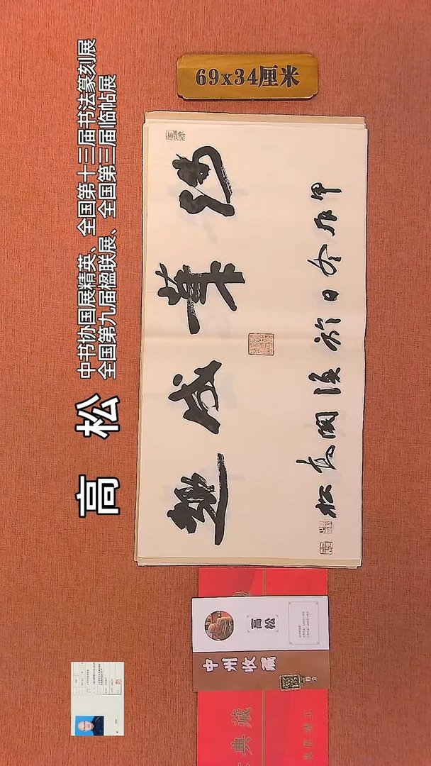 【闪购商品】书法147    高松老师书法作品