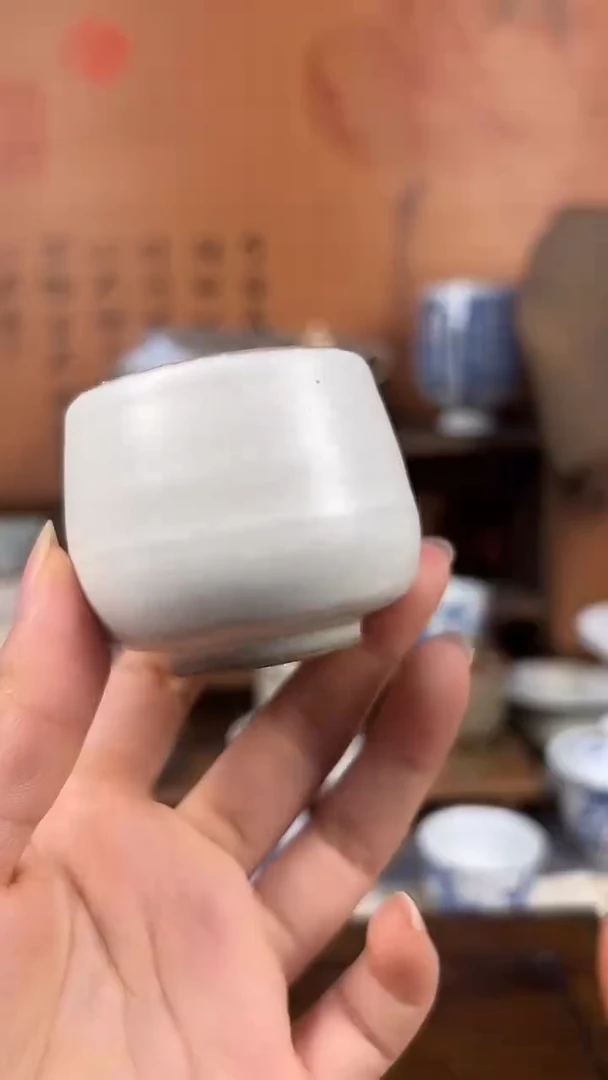 志野杯00211111111