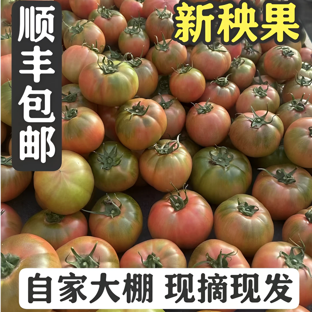 【新秧果】大连草莓柿子【顺丰包邮】碱地水果番茄【张哥小萍自家大棚】