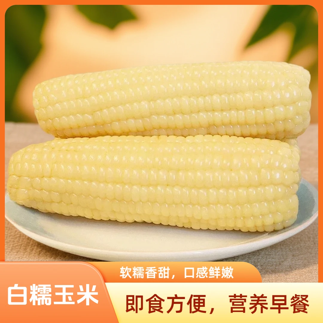 【整箱10根,可试吃3根】2025年头茬白糯玉米口感软糯香甜5斤以上z