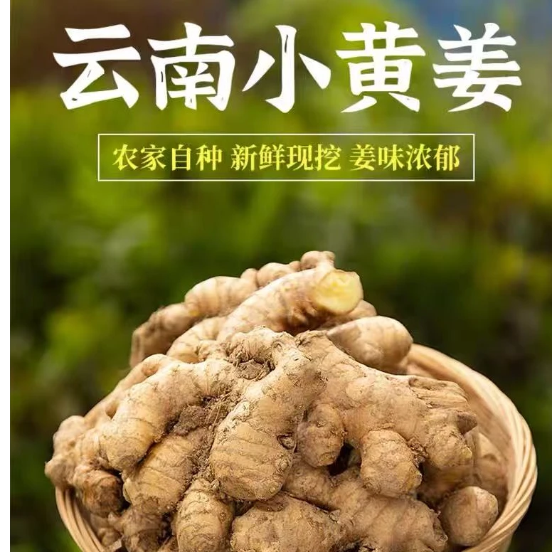 云南老品种小黄姜（代购链接）