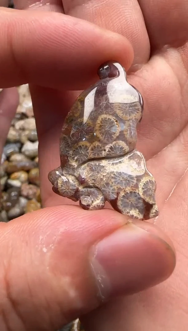 【闪购商品】硅化珊瑚（珊瑚玉）颈饰未镶嵌486