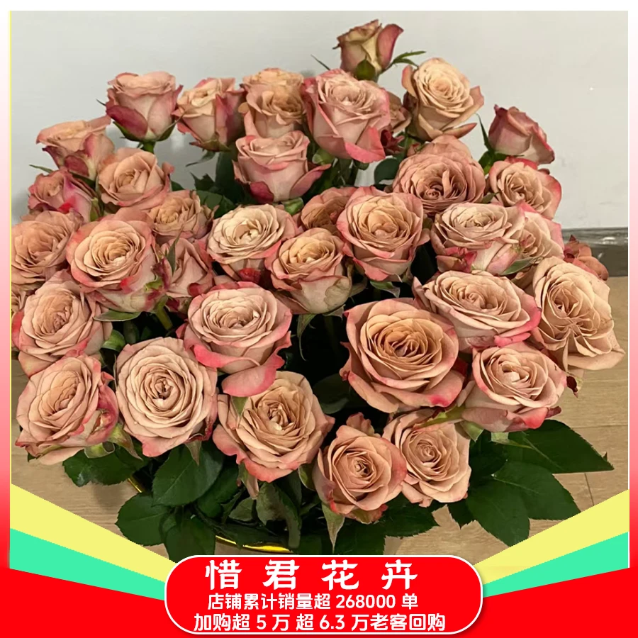 【卡布】玫瑰花鲜切花新鲜玫瑰云南鲜花基地直发两单送配草