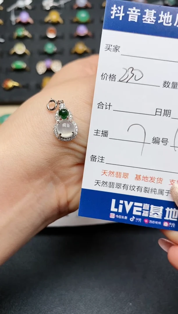 【闪购商品】翡翠颈饰银S925镶嵌.............