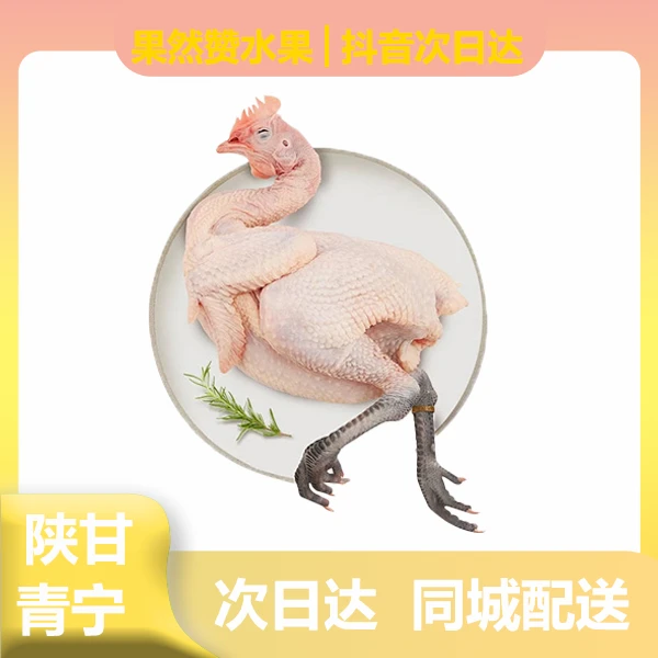 【次日达】马家山农家溜达鸡青脚麻鸡大公鸡净重5.5斤左右真空包装 保留鸡胗鸡心