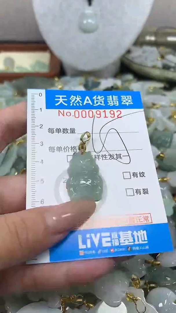 翡翠未镶嵌颈饰净货挂件-9192