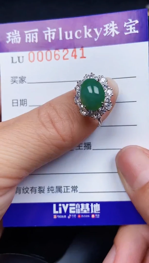 翡翠银S925镶嵌颈饰6241