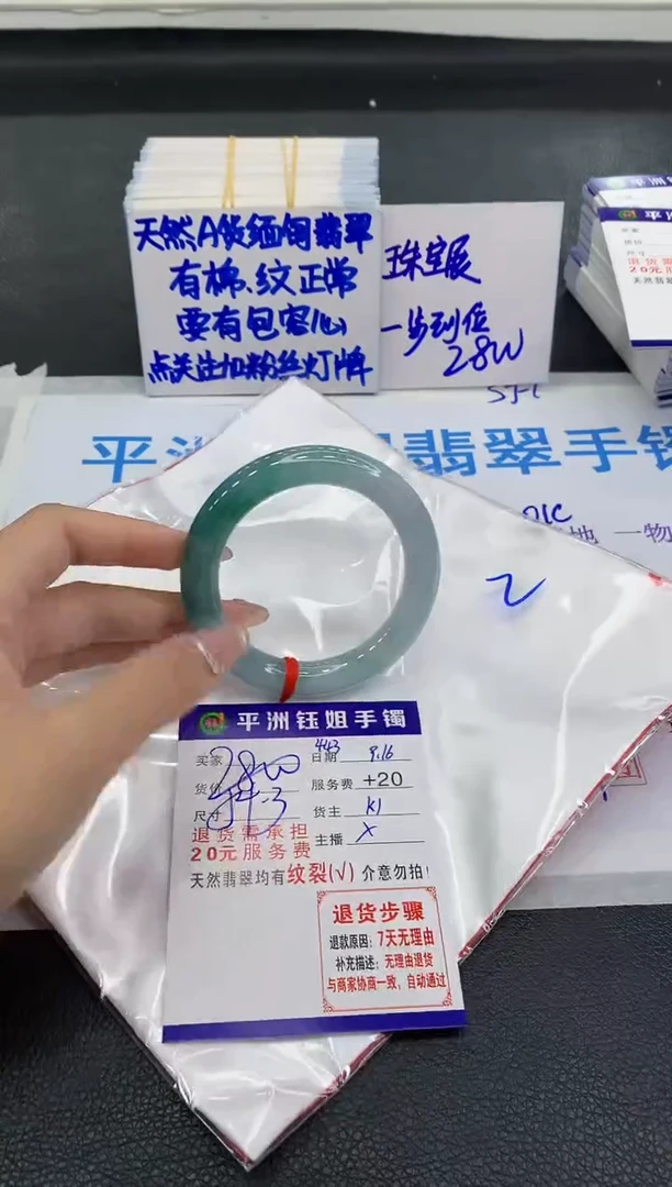 未镶嵌手镯翡翠1