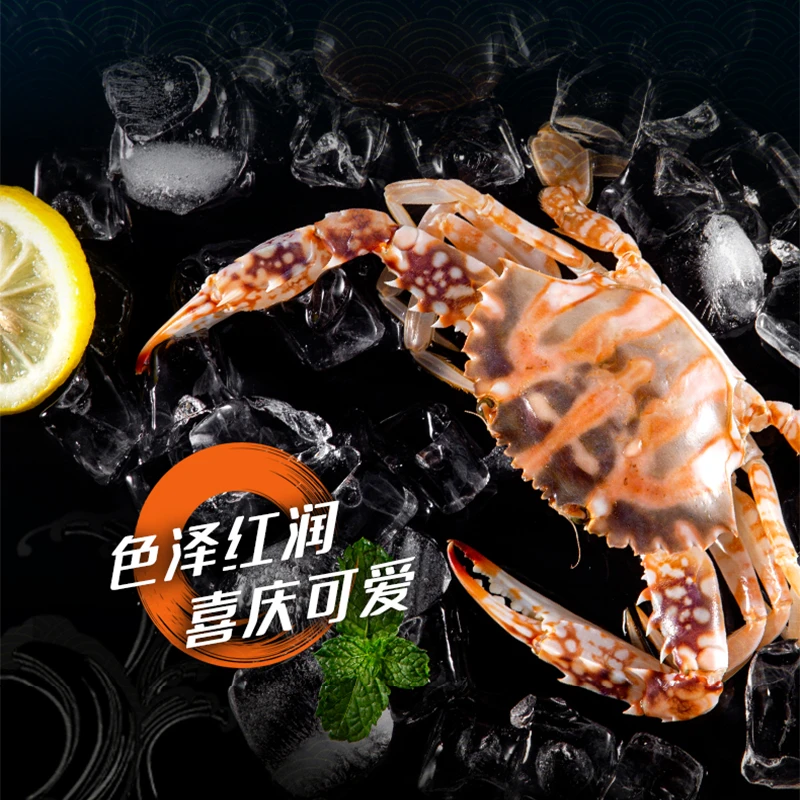 【新鲜中花蟹】上街弟海鲜/海蟹/单只2两以上/2/3/5斤【保鲜不保活】