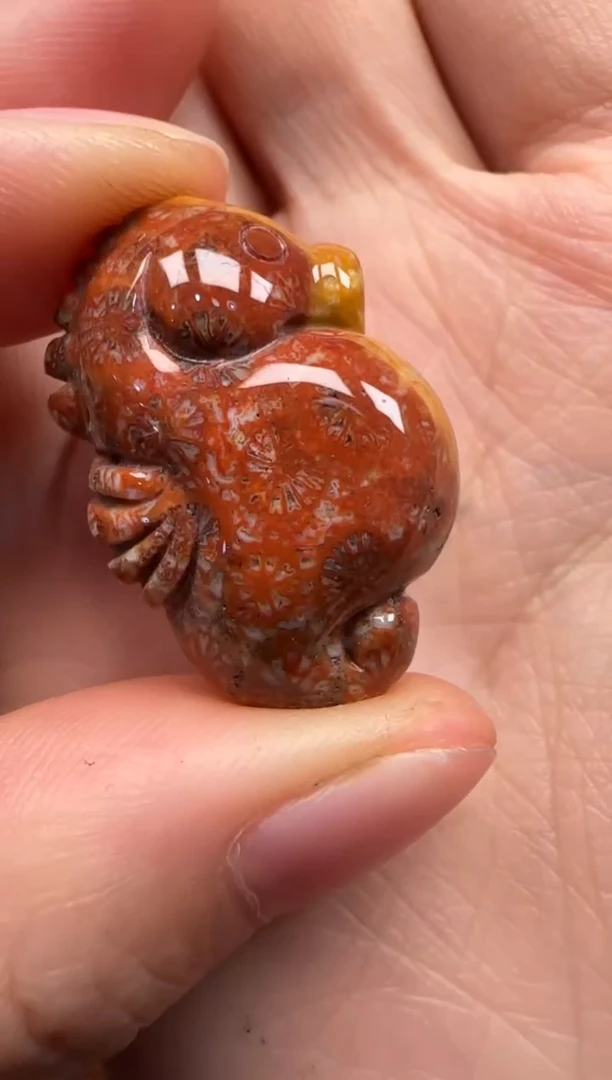 【闪购商品】硅化珊瑚（珊瑚玉）颈饰未镶嵌624