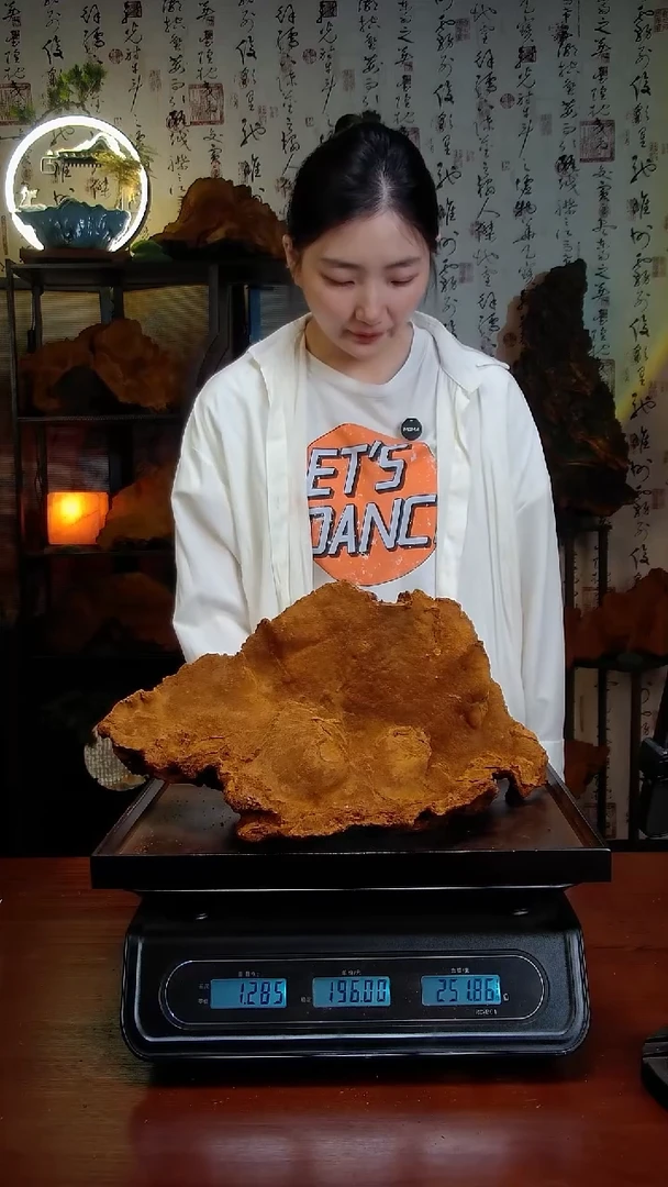 松针层孔菌中国大陆【藏区】松树桑黄（2.57斤）30-40年份