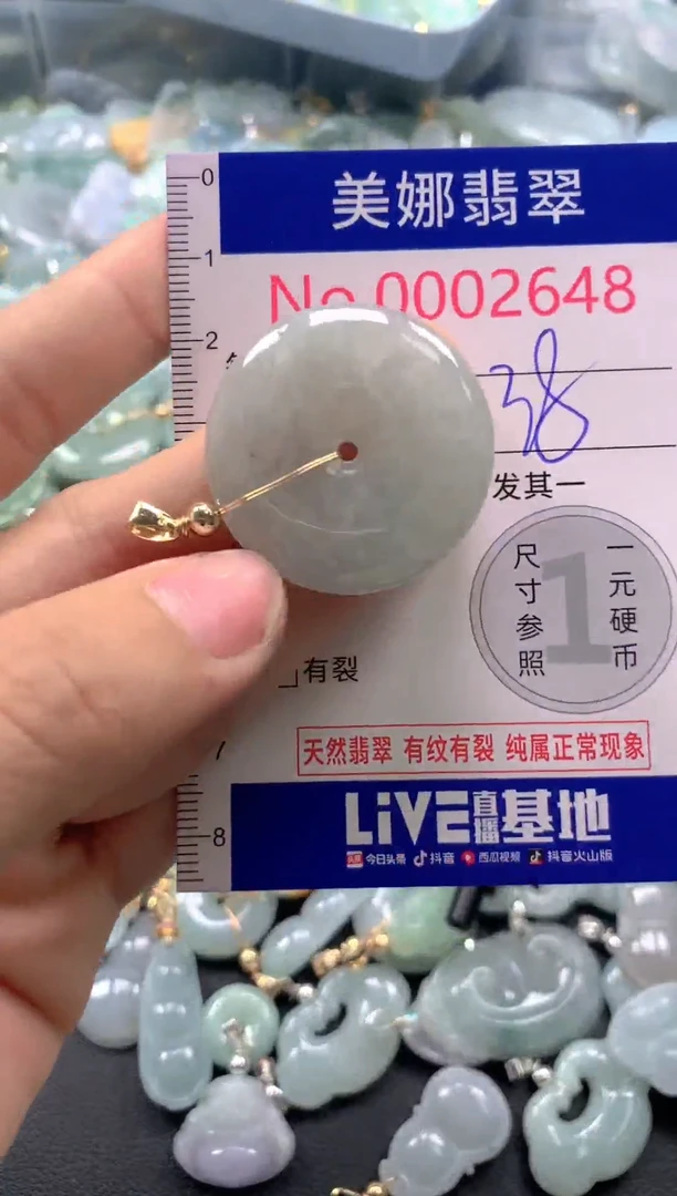 颈饰未镶嵌翡翠2648