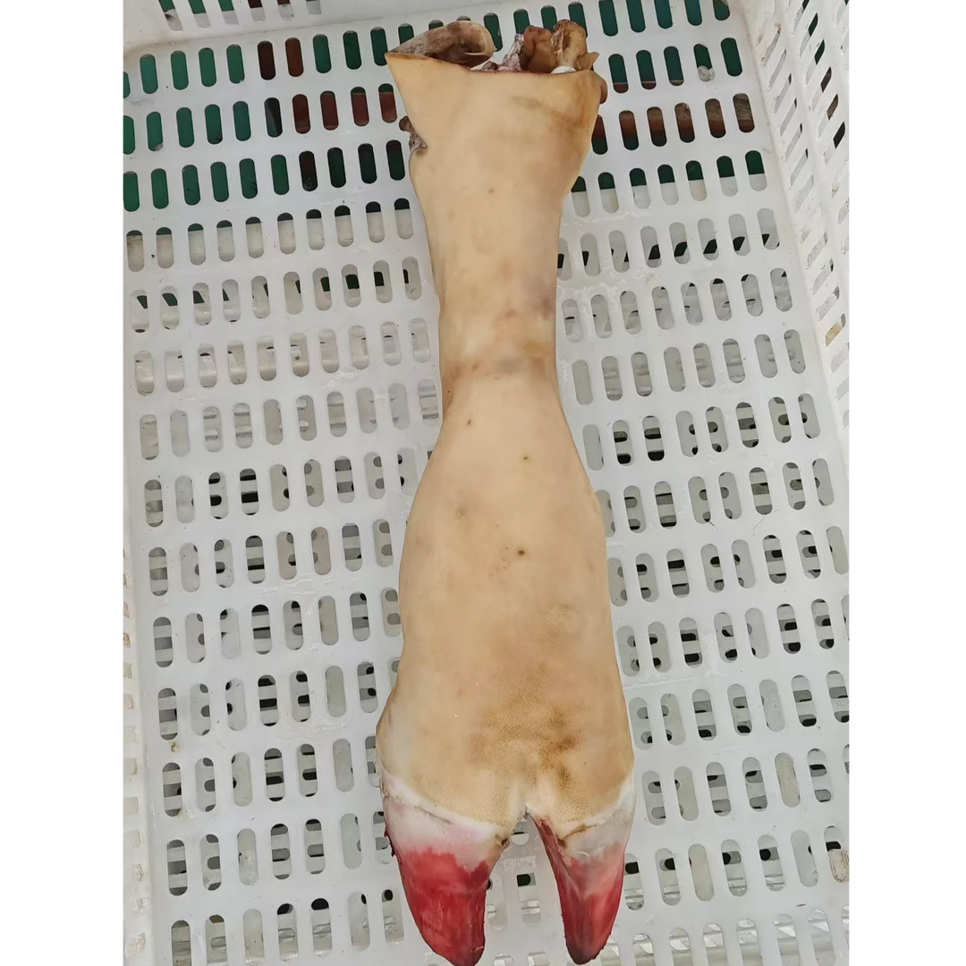 正宗河南南阳新鲜黄牛牛蹄B（下单有特殊要求及时备注）