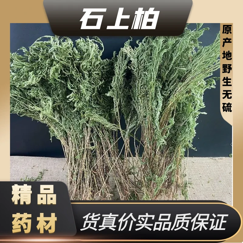 野外石上柏中药材地侧柏地柏草干货石上柏整株地梭罗金龙草威灵仙