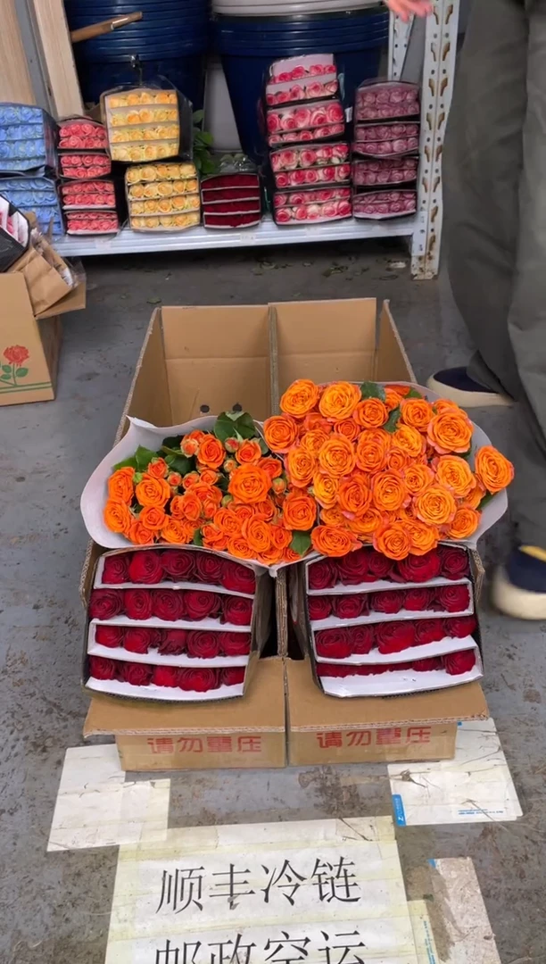 高原红20枝+橙色芭比10枝