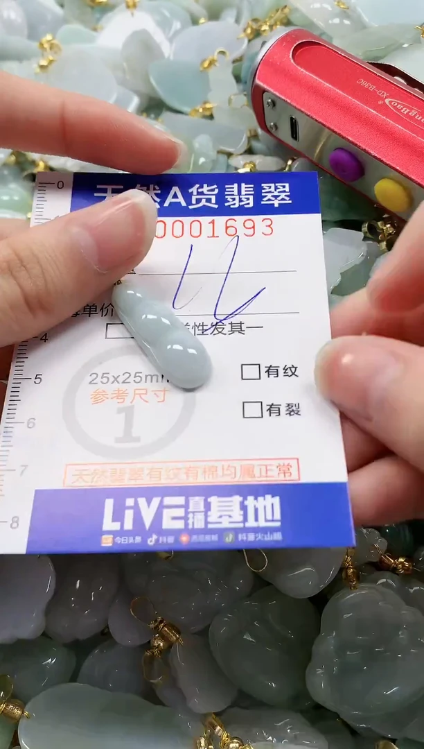 颈饰未镶嵌翡翠纯天然a货翡翠