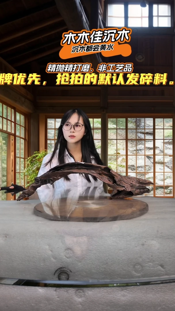 汝*木木佳沉木鱼缸造景204
