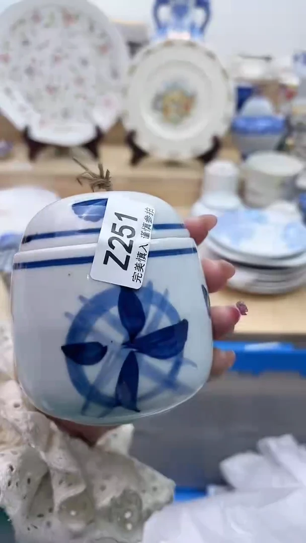 【闪购商品】瓷片251